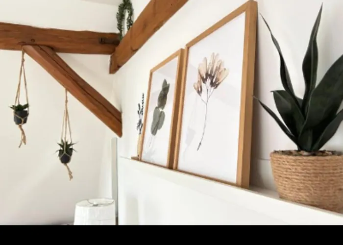 Willi Ii Apartamento